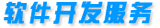 软件开发服务
