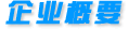 企业概要